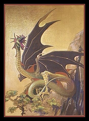 Les dragons f&eacute;es